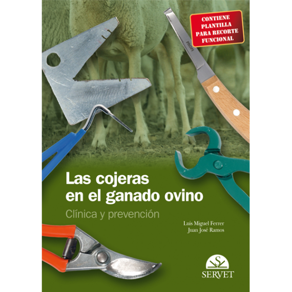 Las cojeras en el ganado ovino