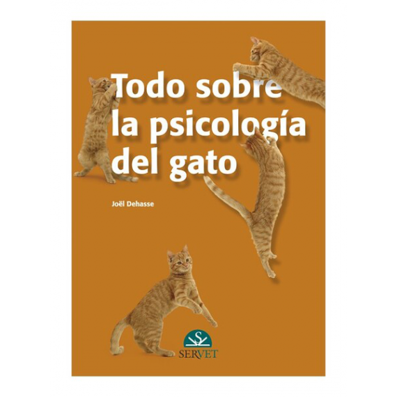 Todo sobre la psicología del gato