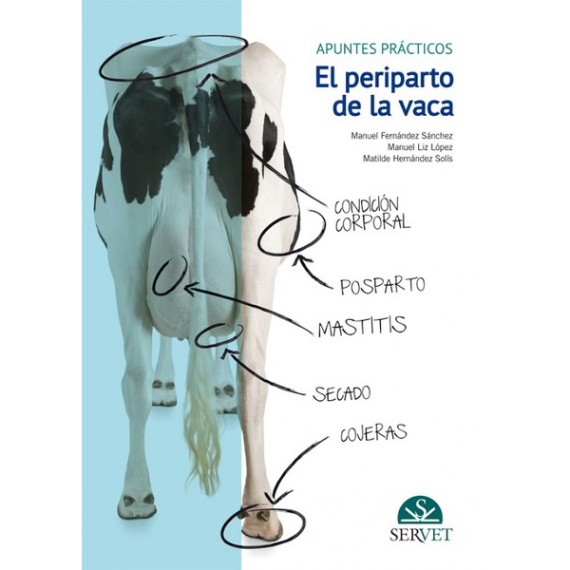 El periparto de la vaca: apuntes prácticos