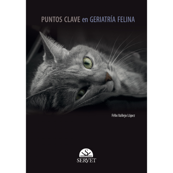 Puntos clave en geriatría felina