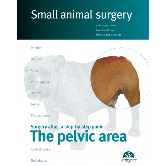 The pelvic area. Small animal surgery