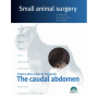 The caudal abdomen. Small animal surgery