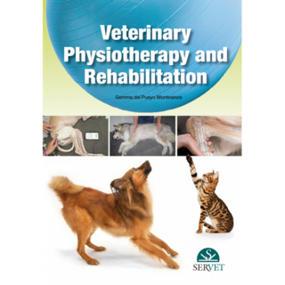 Veterinary physiotherapy and rehabilitation