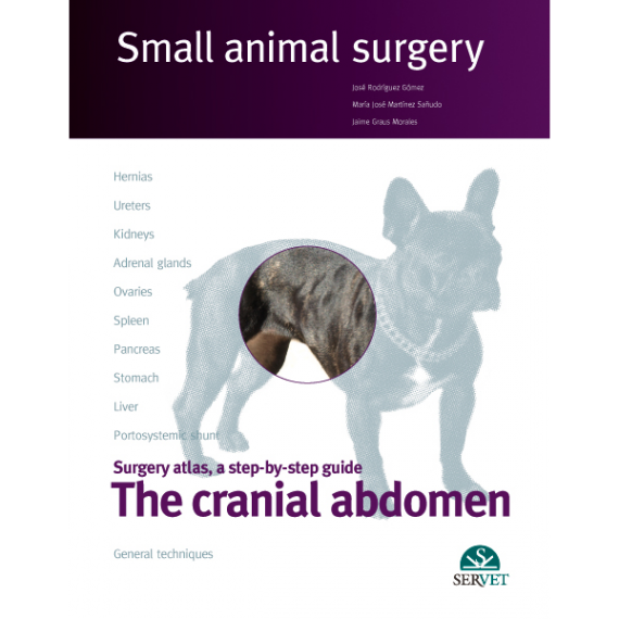 The cranial abdomen. Small animal surgery