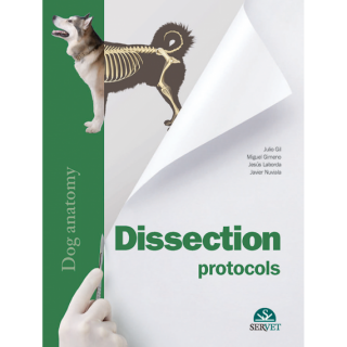 Dissection protocols. Dog Anatomy