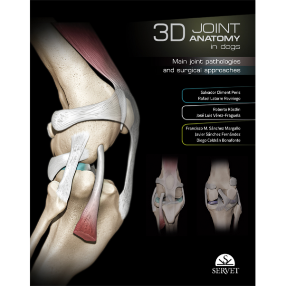 3D Joint Anatomy in dogs