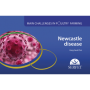 Newcastle disease