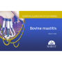Essential guides on cattle farming. Bovine Mastitis