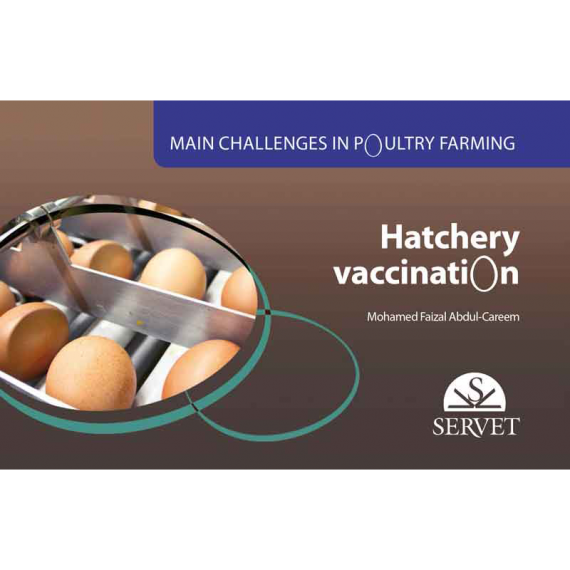 Main challenges in poultry farming. Hatchery vaccination