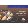 Main challenges in poultry farming. Hatchery vaccination