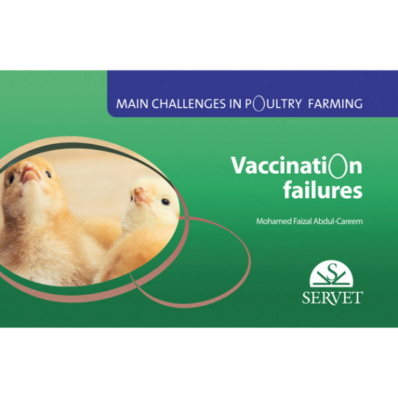 Main challenges in poultry farming. Vaccination failures