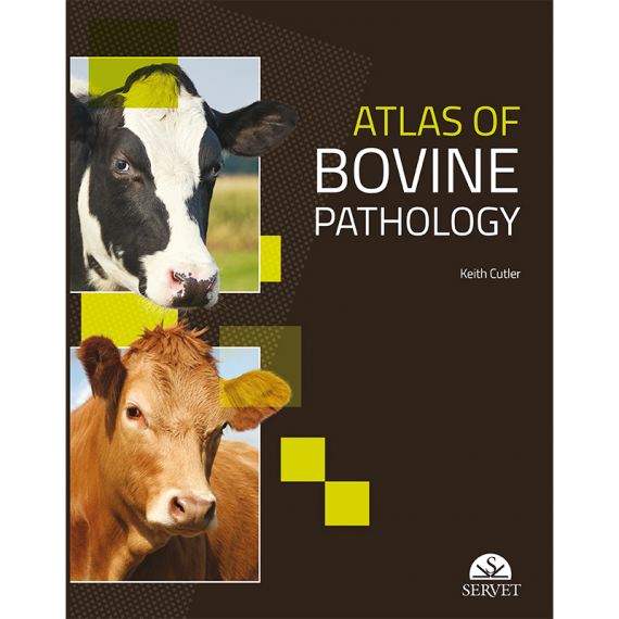 Atlas of bovine pathology