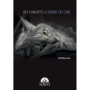 Key concepts in senior cat care