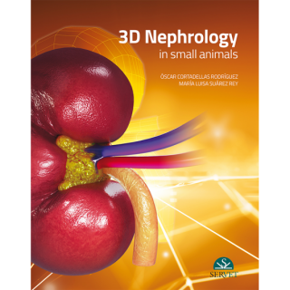 Nephrology 3D
