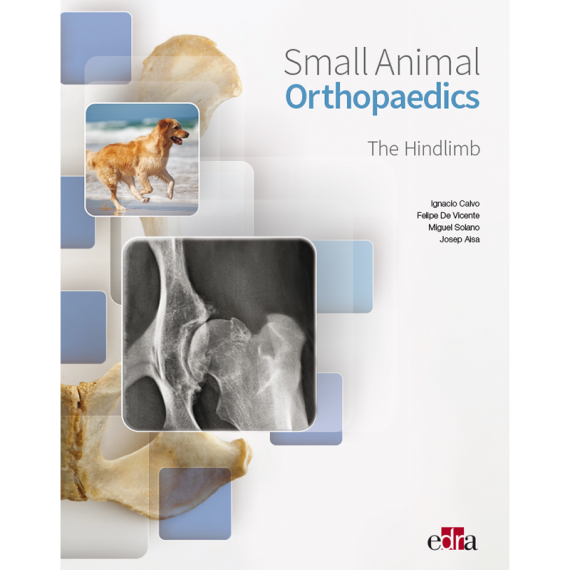 Small animal orthopaedics. The hindlimb