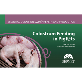Colostrum Feeding in Piglets