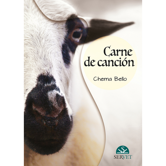Carne de canción