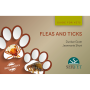 Fleas and ticks in small animals