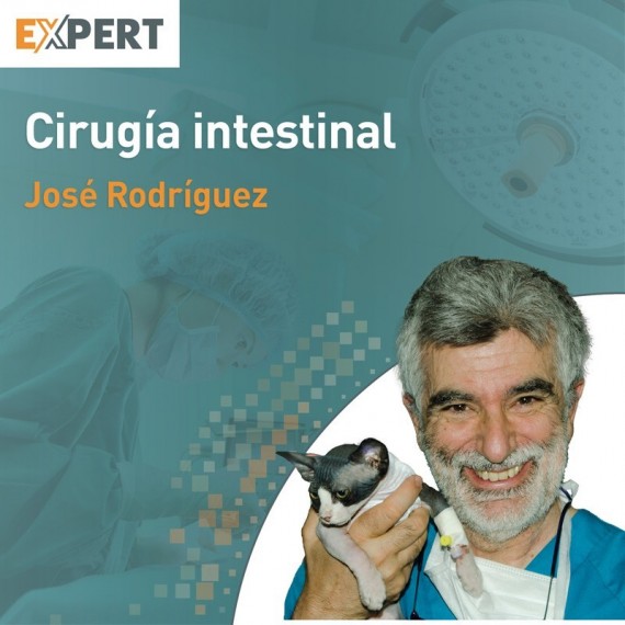 Programa Expert en Cirugía Intestinal
