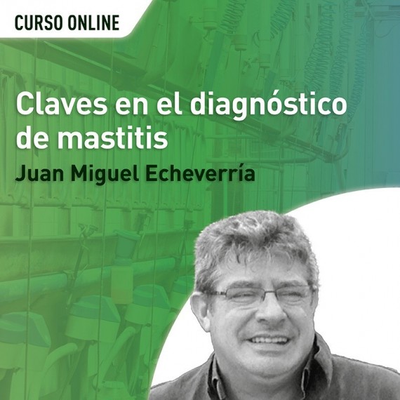 Claves en el diagnóstico de mastitis