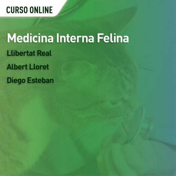 Medicina interna felina