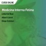 Medicina interna felina