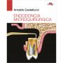 Endodoncia microquirúrgica