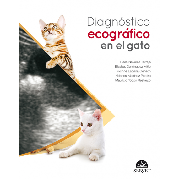 Diagnóstico ecográfico en el gato
