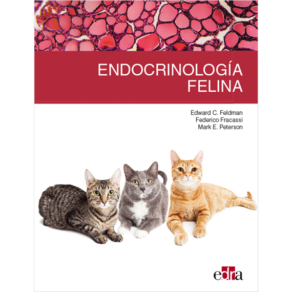 Endocrinología felina