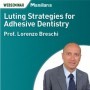 Luting strategies for adhesive dentistry