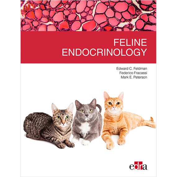 Feline endocrinology