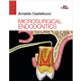 Microsurgical Endodontics