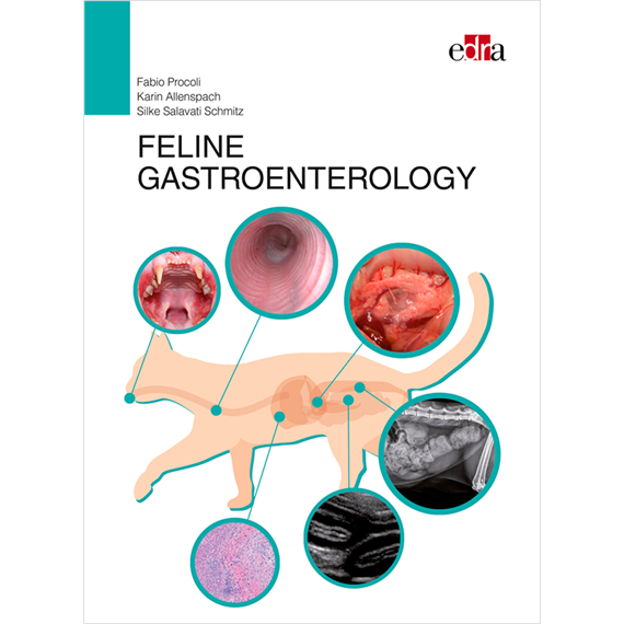 Feline gastroenterology