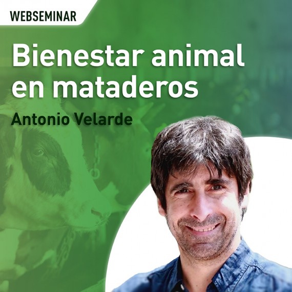 Bienestar animal en mataderos