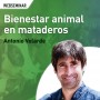 Bienestar animal en mataderos